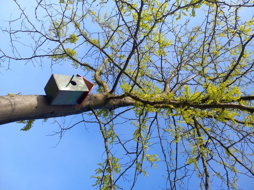  - Caravana Reciclarii Creative