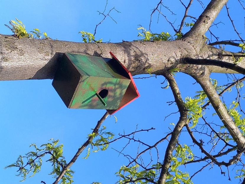  - Caravana Reciclarii Creative