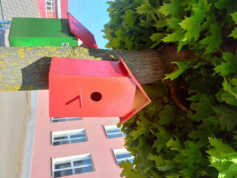  - Caravana Reciclarii Creative