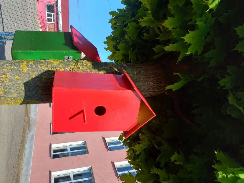  - Caravana Reciclarii Creative