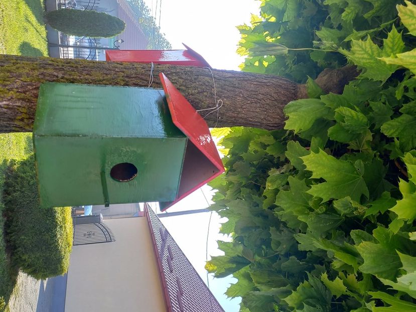  - Caravana Reciclarii Creative