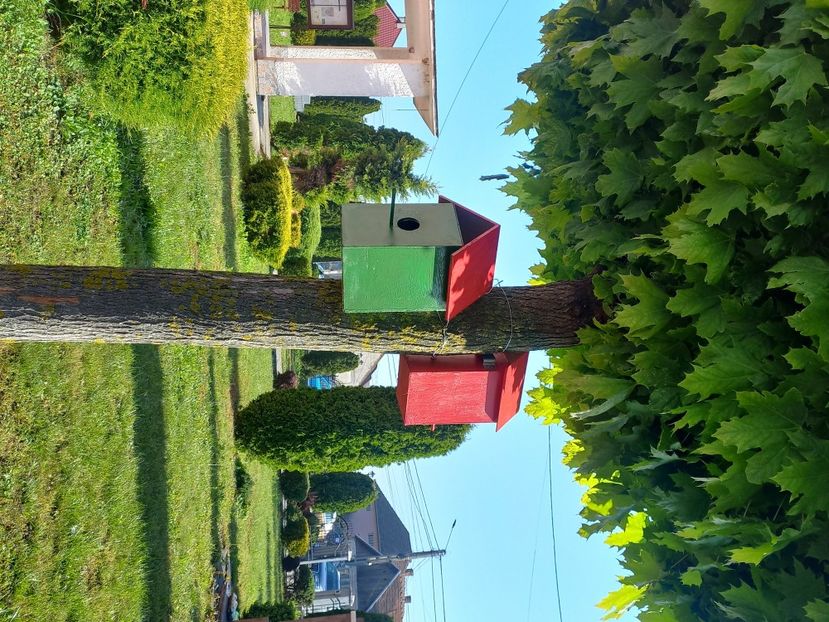  - Caravana Reciclarii Creative