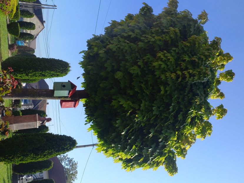  - Caravana Reciclarii Creative