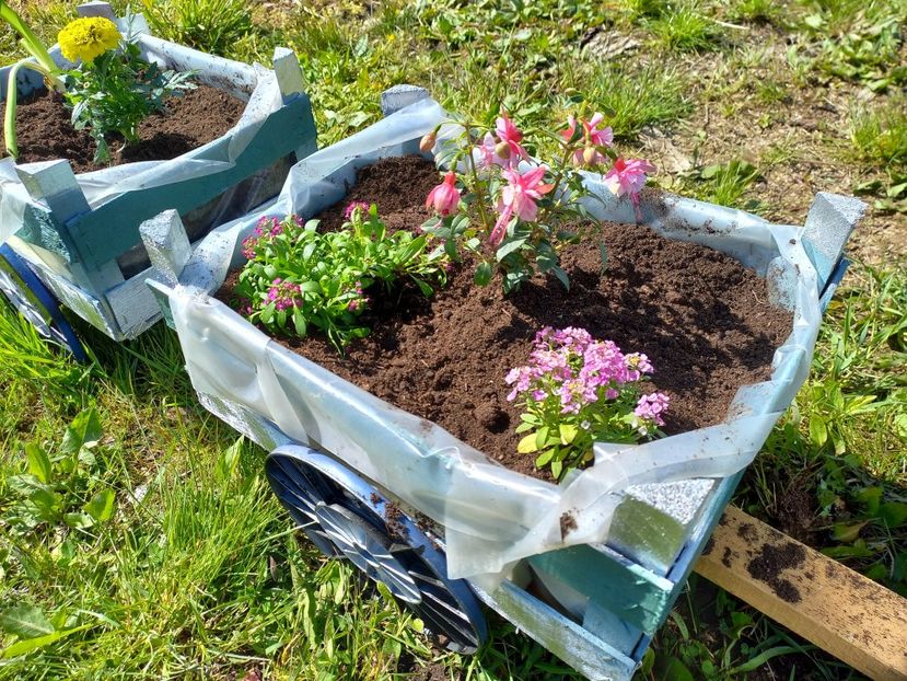  - Caravana Reciclarii Creative