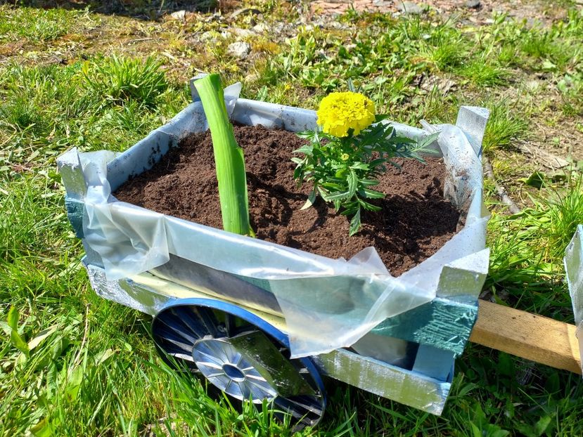  - Caravana Reciclarii Creative