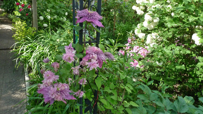  - 2024 - 01 - Primavara