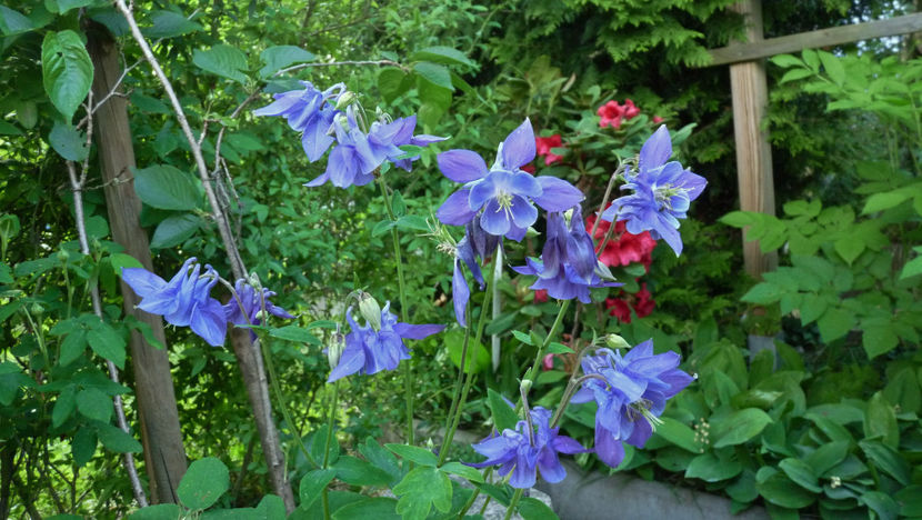  - 2024 - 01 - Primavara