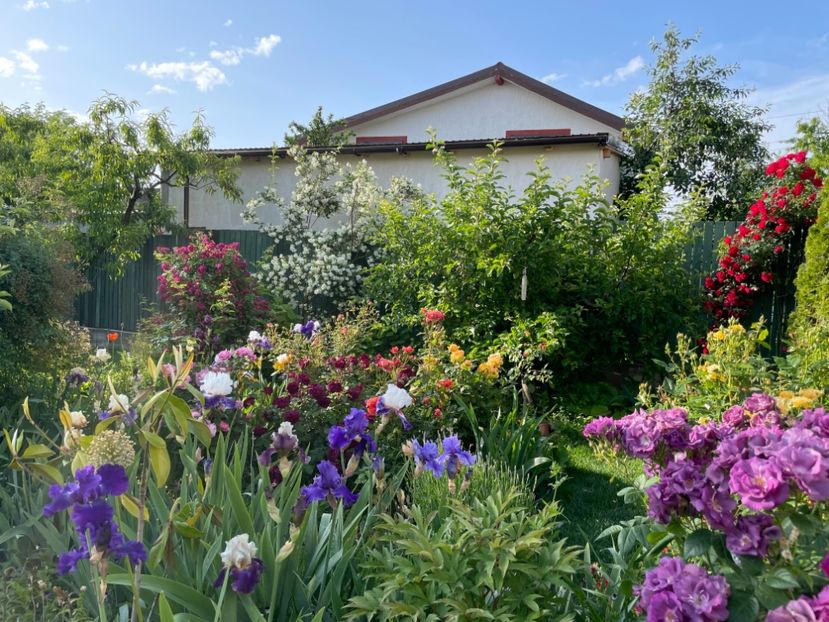  - 002 Grădina 2024 1