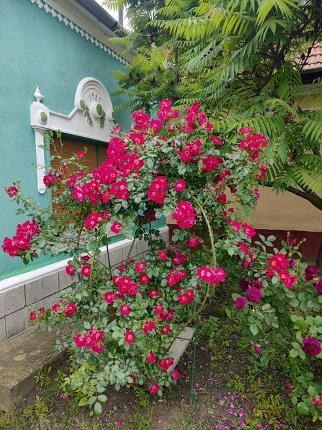 22 05 2024 - Dortmund