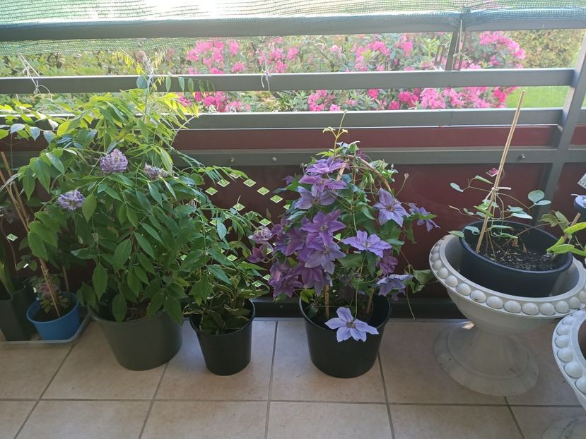 Img.2024.05.19 - Balconul