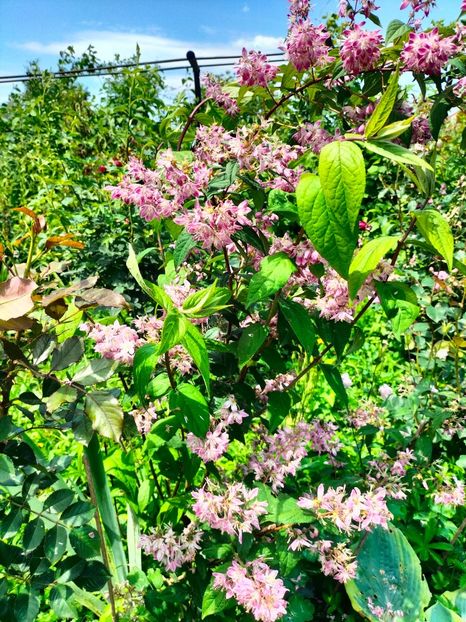 IMG20240525121351 - Mai 2024 vol 1