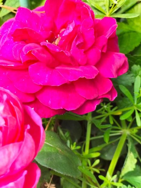 IMG20240525121205 - Mai 2024 vol 1