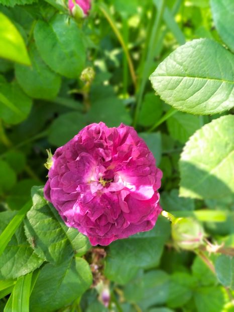 IMG20240525115728 - Mai 2024 vol 1