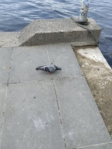 Img.2024.05.24 - Hamburg