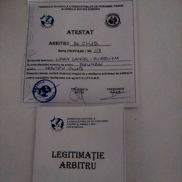 Arbitru Club - CONTACT