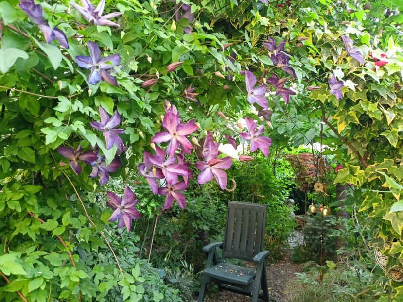  - Grădina 2024 continuare 3