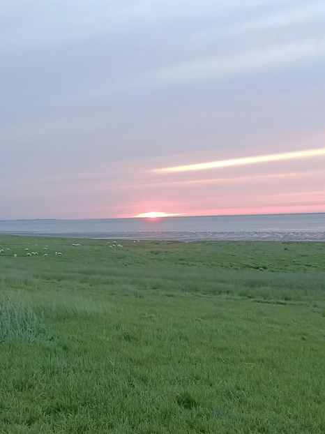 Img.2024.05.21 - Cerul