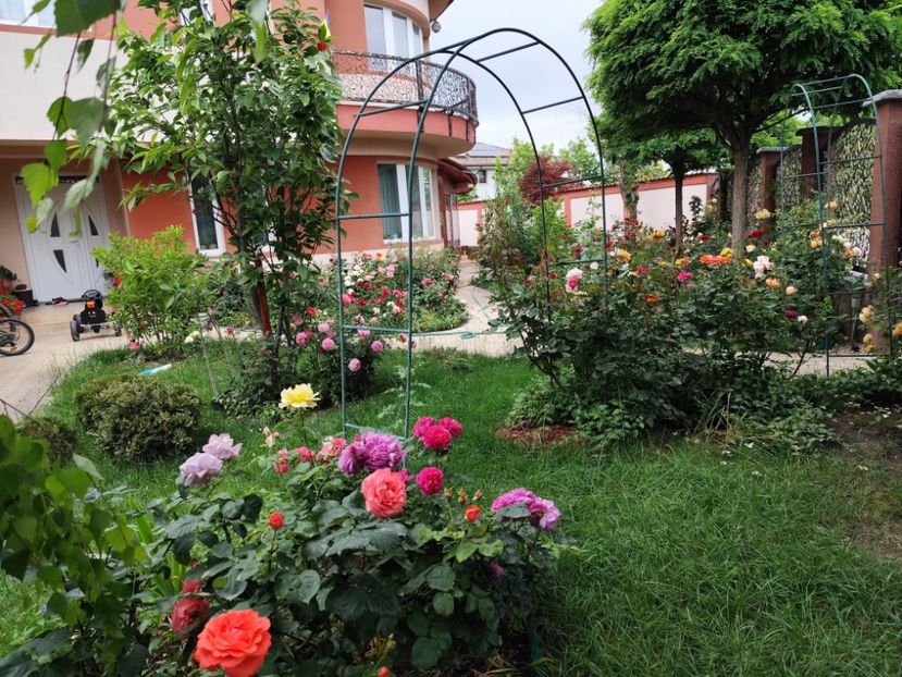  - Cum a evoluat gradina mea