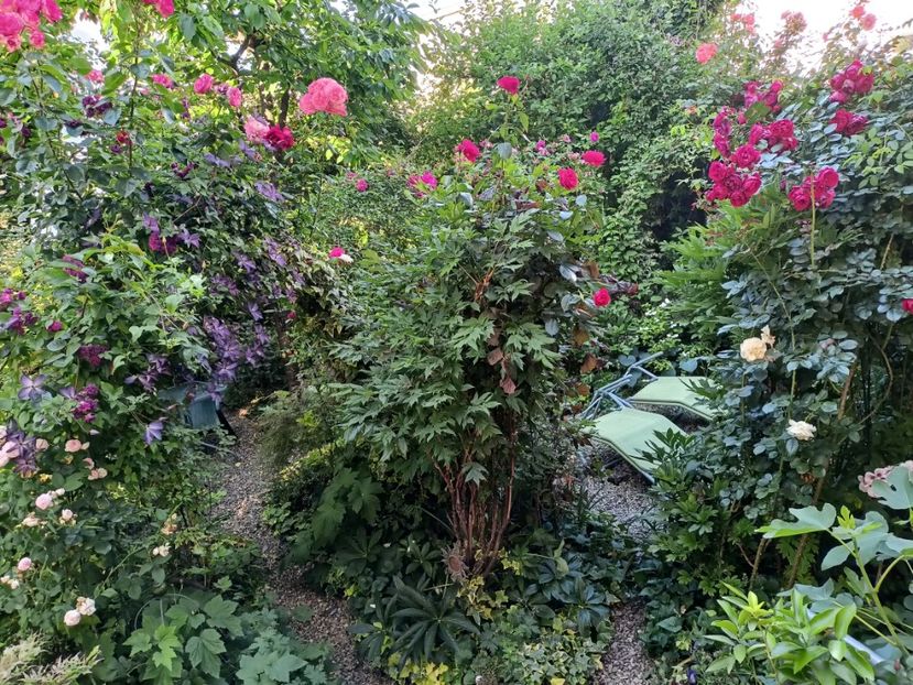  - Grădina 2024 continuare 3