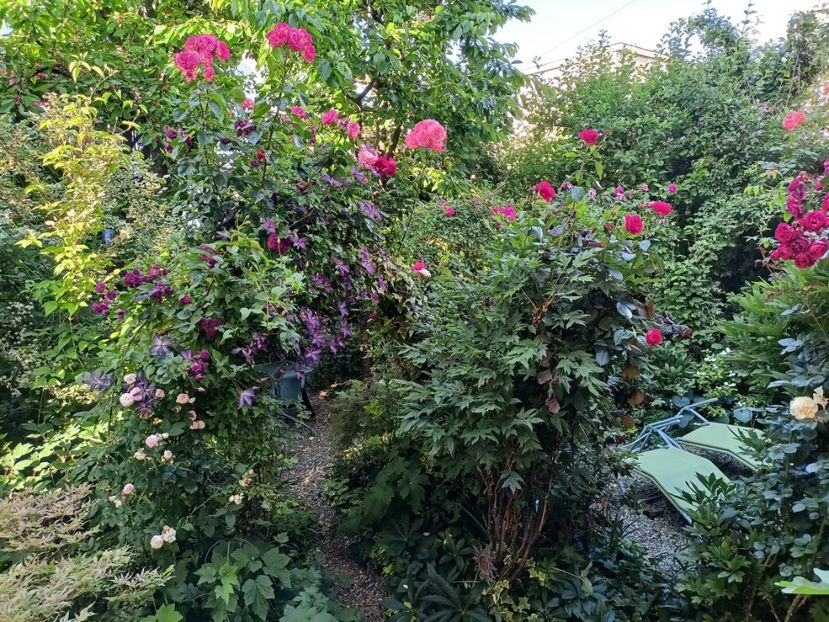  - Grădina 2024 continuare 3