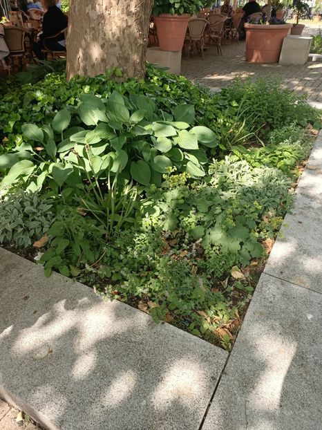 Img.2024.05.27 - Bremerhaven