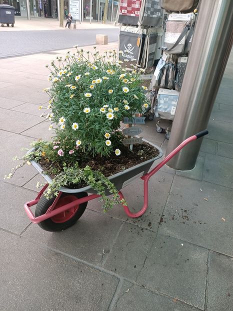 Img.2024.05.27 - Bremerhaven