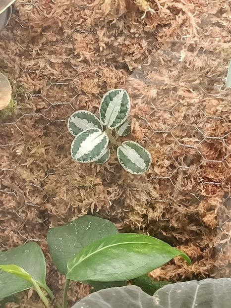 Img.2024.05.27 - Bremerhaven