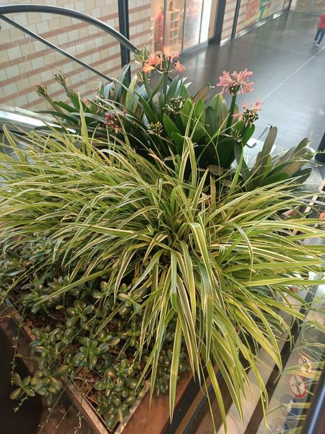 Img.2024.05.27 - Bremerhaven