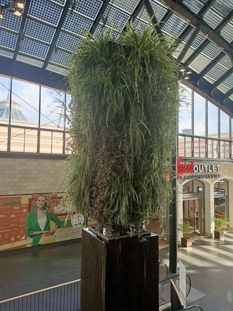 Img.2024.05.27 - Bremerhaven