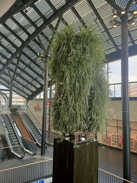 Img.2024.05.27 - Bremerhaven