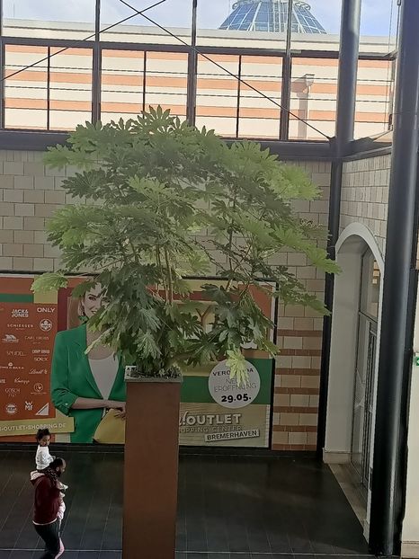 Img.2024.05.27 - Bremerhaven