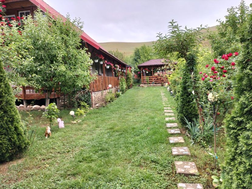 IMG20240529124234 - Primăvară 2024