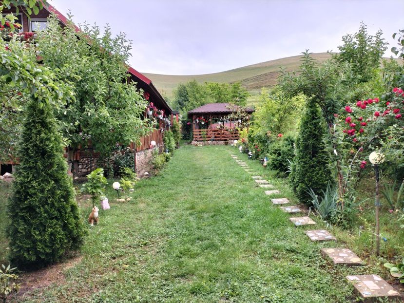 IMG20240529124228 - Primăvară 2024