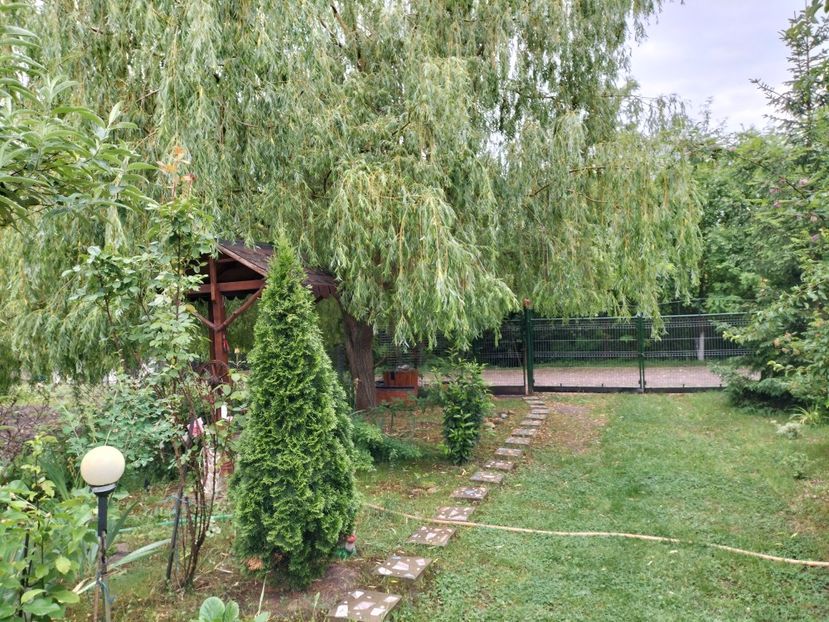 IMG20240529124216 - Primăvară 2024