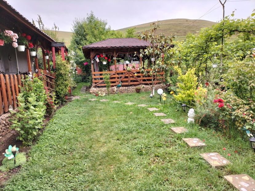 IMG20240529124204 - Primăvară 2024