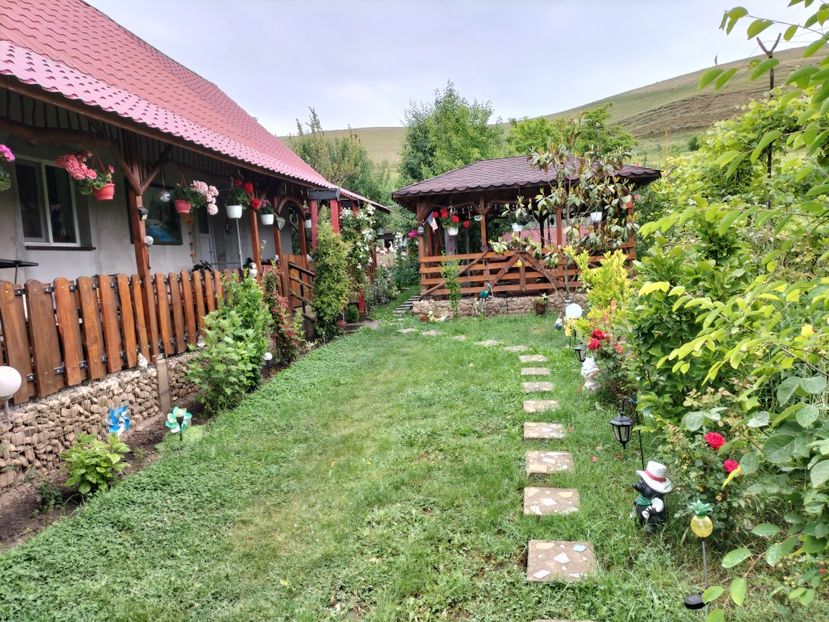 IMG20240529124158 - Primăvară 2024