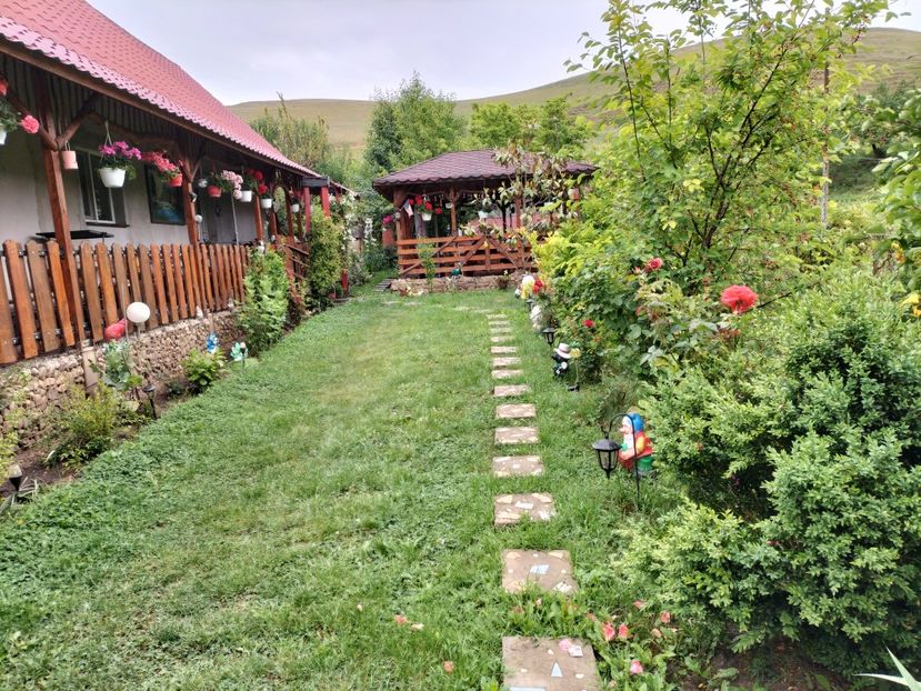 IMG20240529124146 - Primăvară 2024