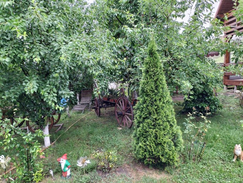 IMG20240529124122 - Primăvară 2024