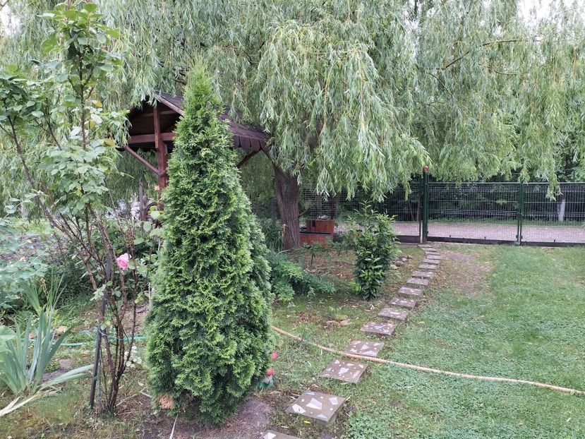 IMG20240529124111 - Primăvară 2024