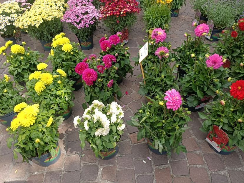 Img.2024.05.30 - Bremen