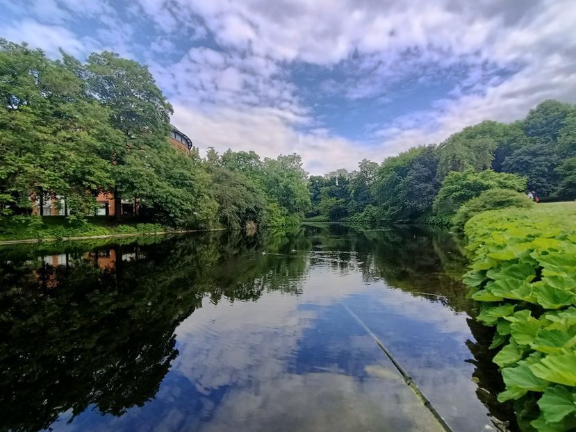 IMG20240530163606 - Bremen