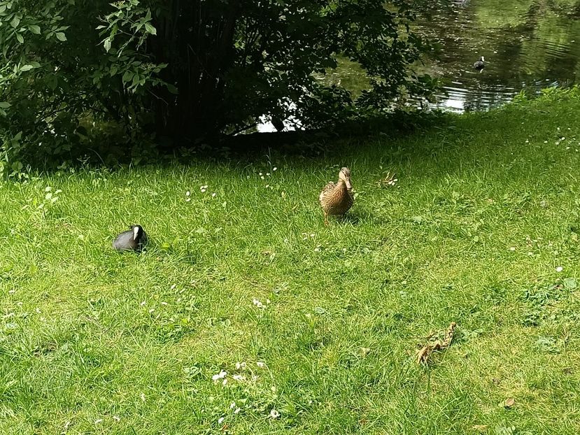 Img.2024.05.30 - Bremen