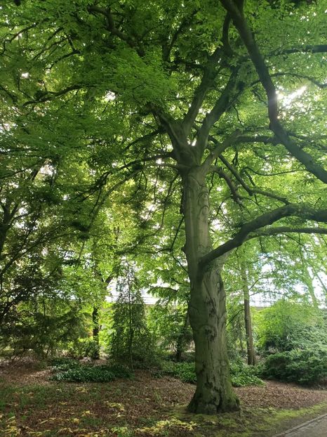 Img.2024.05.30 - Bremen