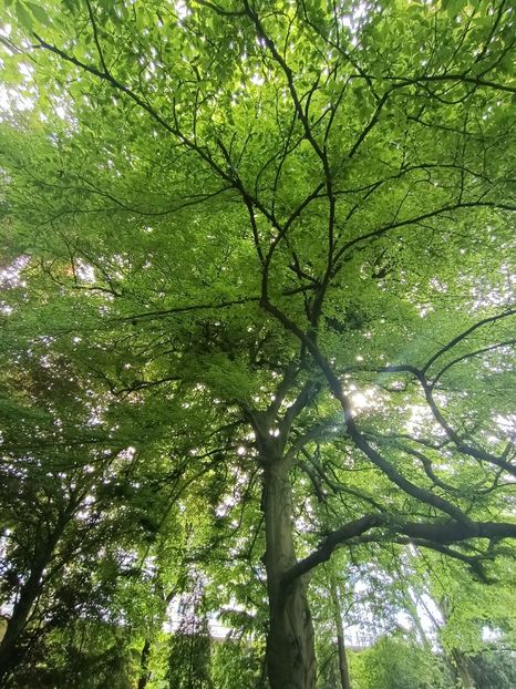 Img.2024.05.30 - Bremen