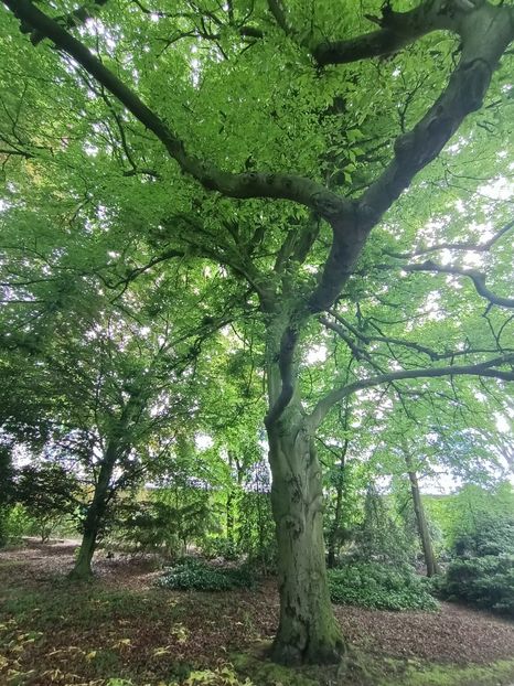 Img.2024.05.30 - Bremen