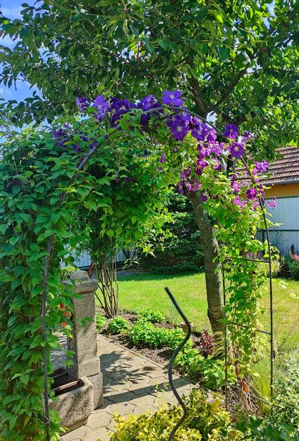  - Gradina si terasa PrimaLuce__11-Hello 2024
