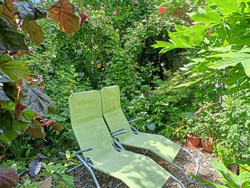  - Grădina 2024 continuare 3