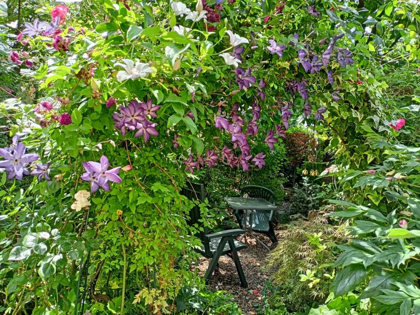  - Grădina 2024 continuare 3