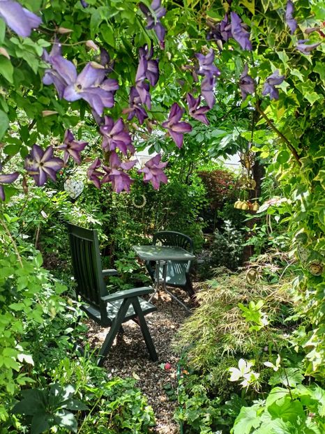  - Grădina 2024 continuare 3