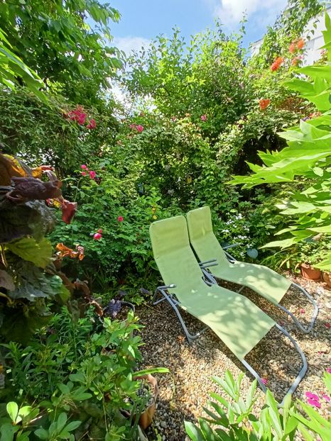  - Grădina 2024 continuare 3